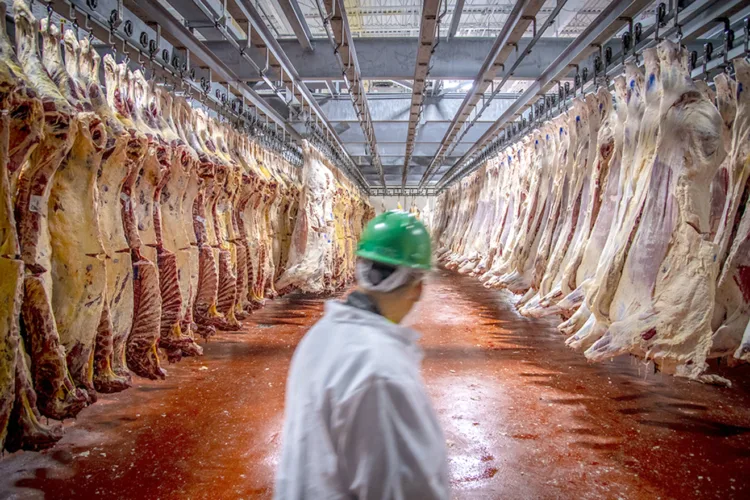 Moss: Beef producers disappointed by tariff suspension